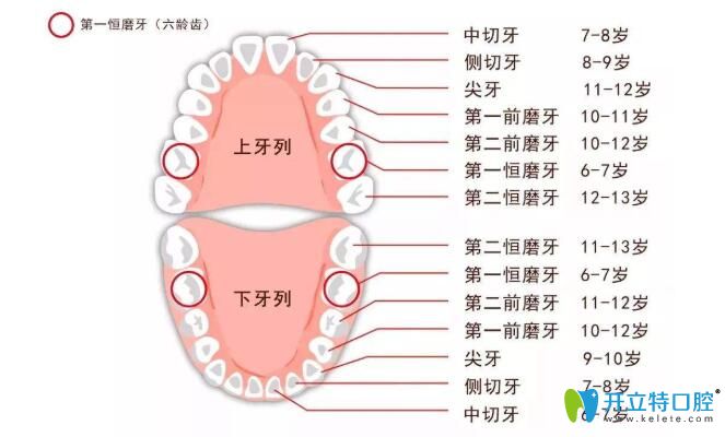 六齡齒會(huì)換嗎？小孩子六齡齒壞了怎么辦？爸媽一定要看哦