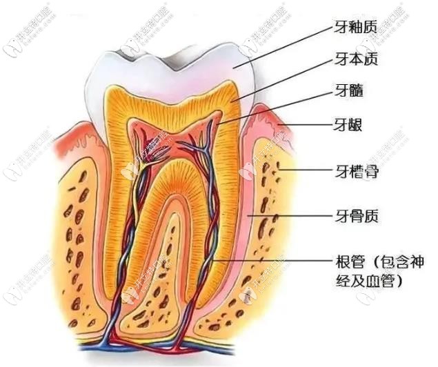 我就納悶了，牙疼一定要做根管治療嗎？